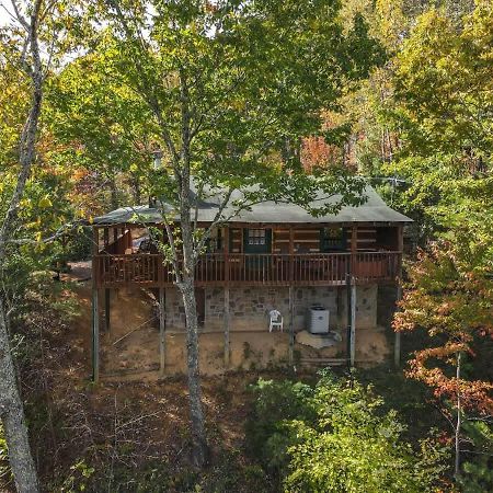 View! Cozy, Private, Fireplace, Hot Tub Log Cabin, Honeymoon! Сев'єрвілл Екстер'єр фото