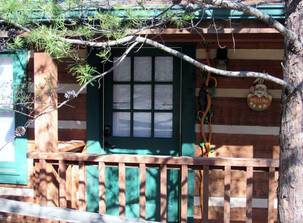 View! Cozy, Private, Fireplace, Hot Tub Log Cabin, Honeymoon! Сев'єрвілл Екстер'єр фото